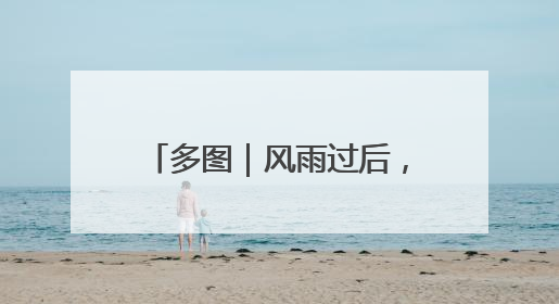 多图｜风雨过后，密云水库“鸟岛”上的幼鸟还好吗？