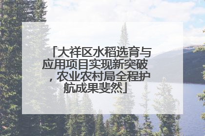 大祥区水稻选育与应用项目实现新突破，农业农村局全程护航成果斐然