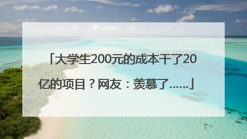 大学生200元的成本干了20亿的项目？网友：羡慕了……