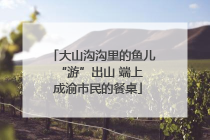 大山沟沟里的鱼儿 “游”出山 端上成渝市民的餐桌