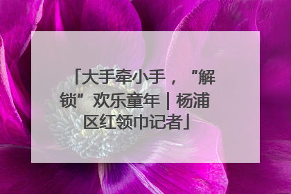 大手牵小手，“解锁”欢乐童年｜杨浦区红领巾记者