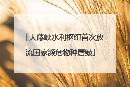 大藤峡水利枢纽首次放流国家濒危物种唇鲮