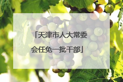 天津市人大常委会任免一批干部