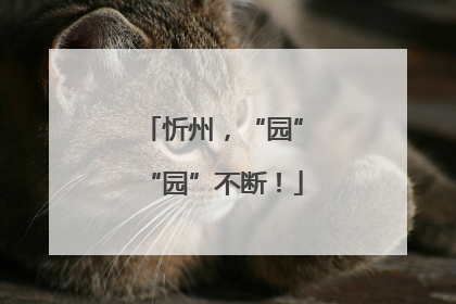忻州，“园”“园”不断！