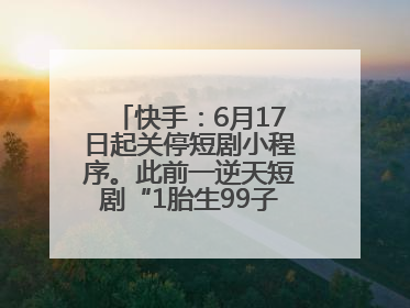 快手：6月17日起关停短剧小程序。此前一逆天短剧“1胎生99子”被全网下架