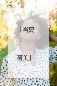 当夏荷美