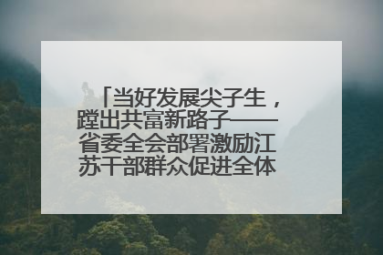 当好发展尖子生，蹚出共富新路子——省委全会部署激励江苏干部群众促进全体人民共同富裕