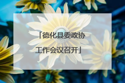 德化县委政协工作会议召开