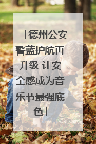 德州公安警蓝护航再升级 让安全感成为音乐节最强底色