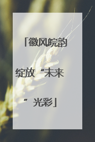 徽风皖韵绽放“未来”光彩