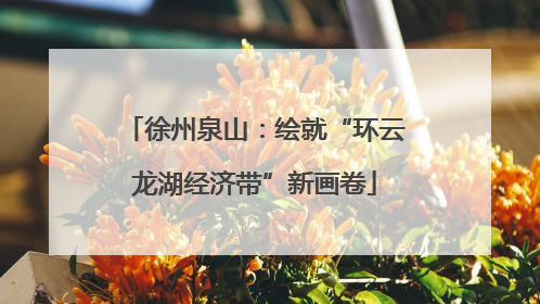徐州泉山：绘就“环云龙湖经济带”新画卷