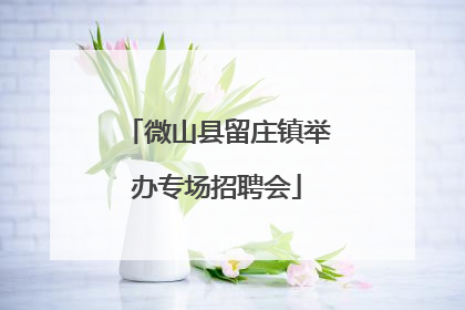 微山县留庄镇举办专场招聘会