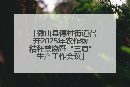 微山县傅村街道召开2025年农作物秸秆禁烧暨“三夏”生产工作会议