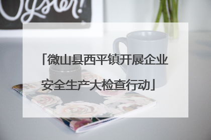 微山县西平镇开展企业安全生产大检查行动