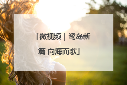 微视频｜鹭岛新篇 向海而歌