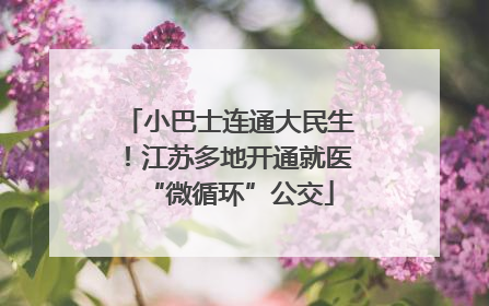 小巴士连通大民生！江苏多地开通就医“微循环”公交