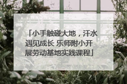小手触碰大地，汗水遇见成长 乐师附小开展劳动基地实践课程