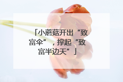 小蘑菇开出“致富伞”，撑起“致富半边天”