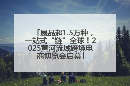 展品超1.5万种，一站式“链”全球！2025黄河流域跨境电商博览会启幕