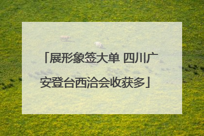 展形象签大单 四川广安登台西洽会收获多