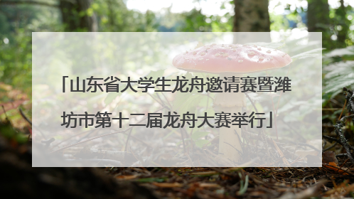 山东省大学生龙舟邀请赛暨潍坊市第十二届龙舟大赛举行