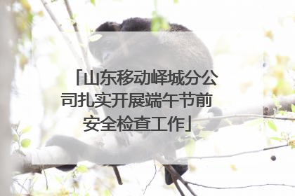 山东移动峄城分公司扎实开展端午节前安全检查工作
