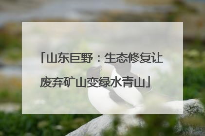 山东巨野：生态修复让废弃矿山变绿水青山