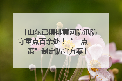 山东已摸排黄河防汛防守重点百余处！“一点一策”制定防守方案
