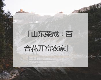 山东荣成：百合花开富农家