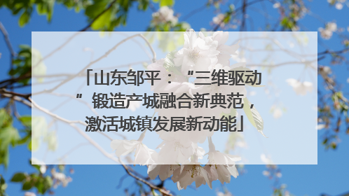 山东邹平：“三维驱动”锻造产城融合新典范，激活城镇发展新动能