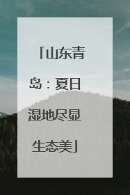 山东青岛：夏日湿地尽显生态美