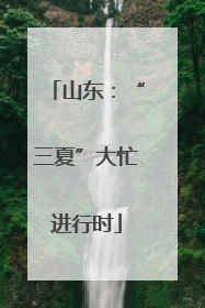 山东：“三夏”大忙进行时