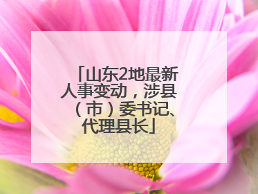 山东2地最新人事变动，涉县（市）委书记、代理县长
