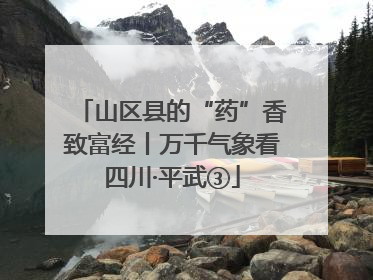 山区县的“药”香致富经丨万千气象看四川·平武③