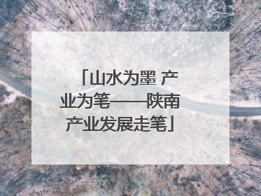 山水为墨 产业为笔——陕南产业发展走笔