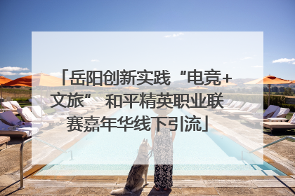 岳阳创新实践“电竞+文旅” 和平精英职业联赛嘉年华线下引流