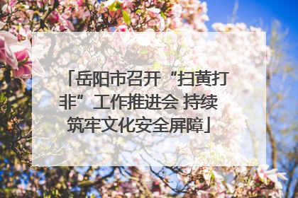 岳阳市召开“扫黄打非”工作推进会 持续筑牢文化安全屏障