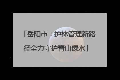 岳阳市：护林管理新路径全力守护青山绿水