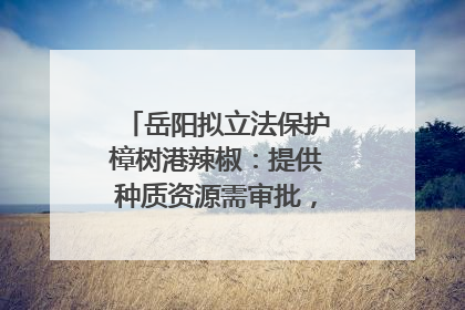 岳阳拟立法保护樟树港辣椒：提供种质资源需审批，违规最高罚5万
