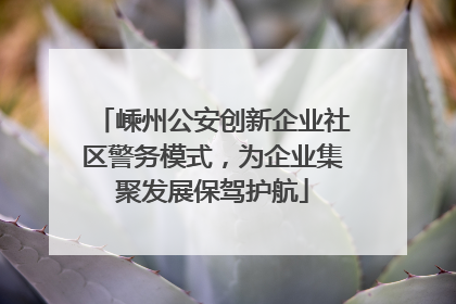 嵊州公安创新企业社区警务模式，为企业集聚发展保驾护航