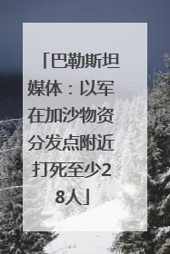 巴勒斯坦媒体：以军在加沙物资分发点附近打死至少28人