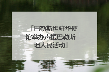 巴勒斯坦驻华使馆举办声援巴勒斯坦人民活动
