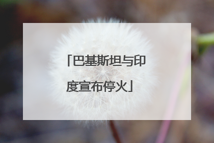 巴基斯坦与印度宣布停火