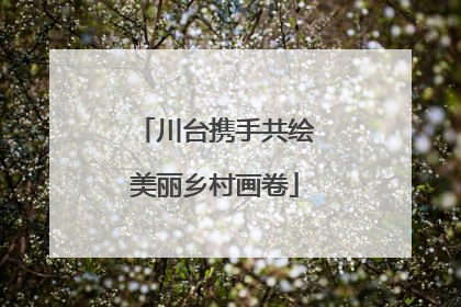 川台携手共绘美丽乡村画卷