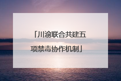 川渝联合共建五项禁毒协作机制