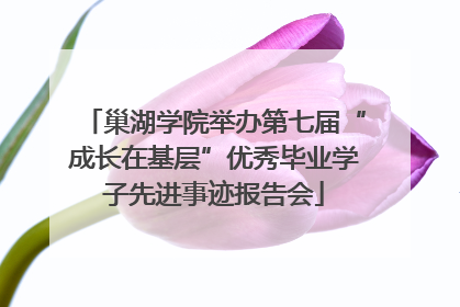 巢湖学院举办第七届“成长在基层”优秀毕业学子先进事迹报告会
