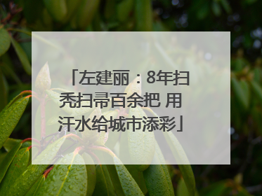 左建丽：8年扫秃扫帚百余把 用汗水给城市添彩