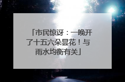 市民惊讶：一晚开了十五六朵昙花！与雨水均衡有关