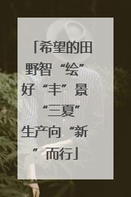 希望的田野智“绘”好“丰”景 “三夏”生产向“新”而行