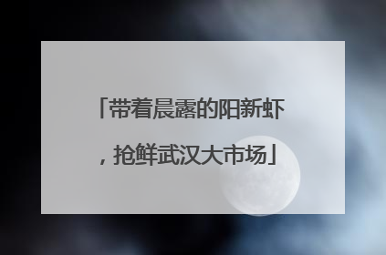 带着晨露的阳新虾，抢鲜武汉大市场
